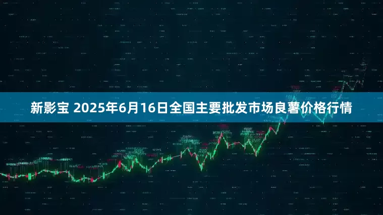 新影宝 2025年6月16日全国主要批发市场良薯价格行情